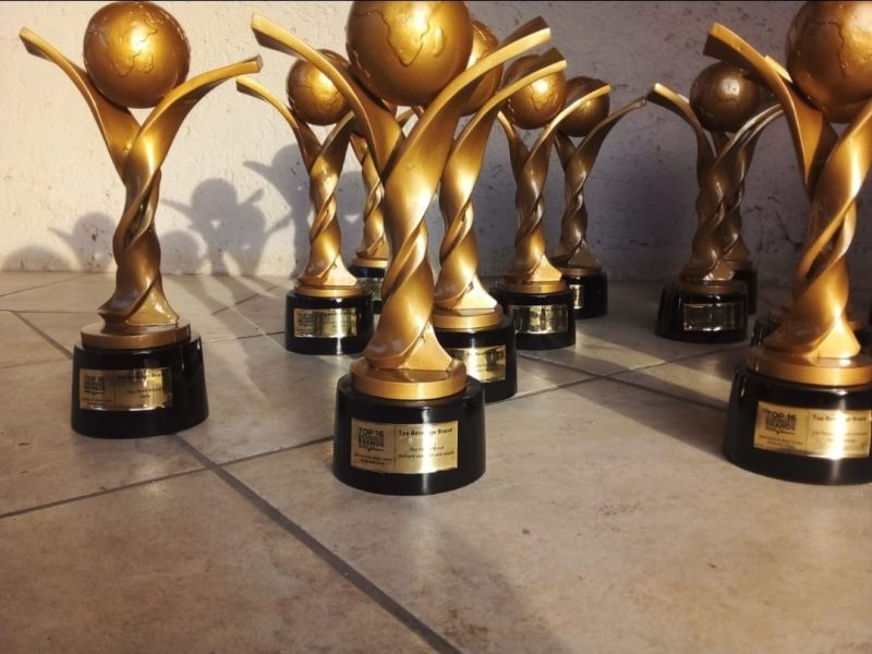 Set of custom gold Africa-globe trophies for Top 16 Business Brands awards, made by Enginova.